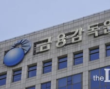 [단독]금감원 전 부국장 구속기소…"특혜대출 알선 대가로 수천만원 챙겨"