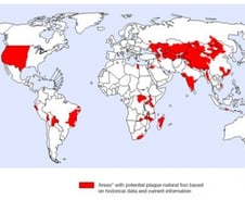 [팩트체크]예방백신 없는 '흑사병' 공기중 전염된다?