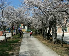 "애들 전학했더니 새 집 한 채 생겼다"