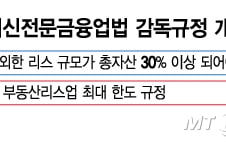 [단독]캐피탈업계, 부동산리스 진출문 열린다