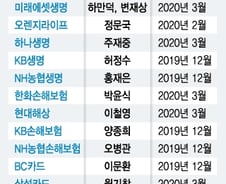[MT리포트]내년이 더 힘들다는 2금융권…보험·카드 CEO 누가 바뀔까