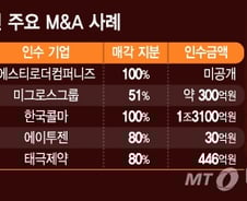 [MT리포트]'코스메슈티컬' IB 큰 장…제약사·화장품 M&A↑