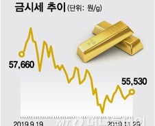 [MT리포트]다시 안전자산으로…이유는 '홍콩'