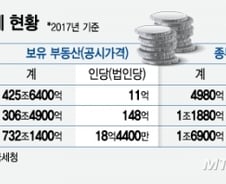 [단독]'법인 쥐꼬리 종부세' 세금회피·투기 수단됐다