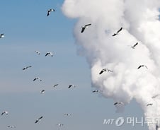 온실가스 감축…배출권 유상할당 3배 확대 추진