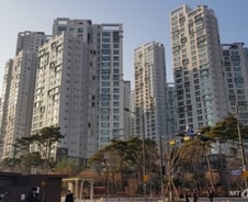 강남·마용성 "매수 문의도 급매도 없어요"