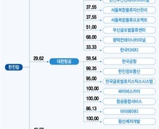 한진家 '남매의 난' 조현아, 강성부 펀드에 손뻗나