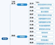 한진家 '남매의 난' 조현아,  '지분 늘린' 강성부 펀드에 손뻗나 