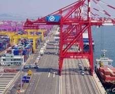 컨테이너 화물 검사비용 정부가 낸다