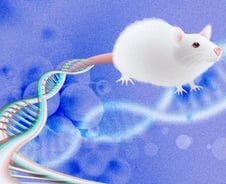 [신년기획] 마리당 수천만원…'유전자변형쥐'를 아시나요