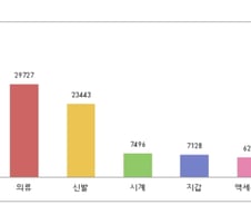 짝퉁 판 치는 오픈마켓에 칼 꺼내든 정부