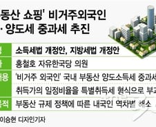 [단독]'韓부동산 쇼핑' 비거주외국인 특별취득세·양도세 중과 추진