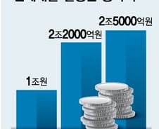 정부가 밀어준 전세대출..집값 올린 주범됐다