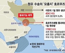 美대사 "파병 희망"·이란 '美우방 경고장'…韓 호르무즈 딜레마(종합)