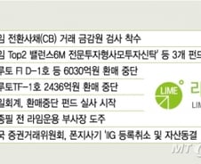 [단독]'라임 쇼크' 신한지주, 이사회 열어 논의