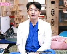 신종 코로나, 길고양이도 조심? 수의사 "전혀 상관없어"