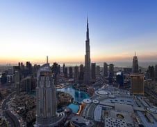 중동도 뚫렸다…UAE서 신종코로나 확진자 발생