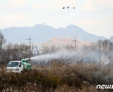 中 '조류독감'까지 발생…감염땐 신종코로나보다 치명적