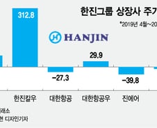 '남매싸움'에 널뛰는 주가…한진그룹株 투자위험은 없나