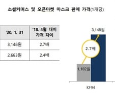 건강 볼모로 장사하나…인터넷몰 마스크 값 2.7배 올라