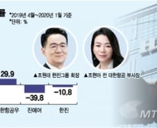 '남매의 난' 한진그룹株, 안갯속 곡예비행