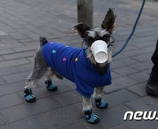 마스크 못 구한 중국인들이 얼굴에 뒤집어쓴 물건들