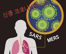 5일 확진자 3명 늘어 19명…감염원 파악 힘들어졌다(종합)