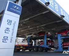 "신종코로나 부품공장 재개 제발"...정부 中읍소전략 통할까?