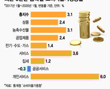 '코로나19' 마스크값 아무리 올라도, 물가엔 영향 없다?