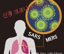 ['코로나19' 7문7답]③전파력, 메르스보다 빠르다?