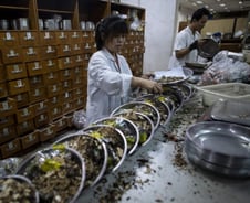 中, 코로나19 치료에 '전통의학' 투입했다