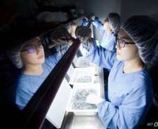 SK, 코로나19 등 신종 감염병 대응 R&D 돌입