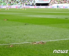 '코로나19 심각' K리그 26일 미디어데이 취소... 긴급이사회 개최