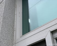[단독]강제폐쇄에도 떠나지 않는 신천지 교인...불날까봐?