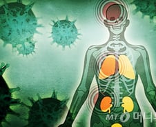 하버드 교수 "코로나19 전 세계 인구 70% 감염시킬 것"