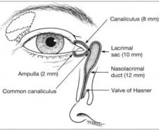 코로나19 막으려 마스크 써도…눈에 '이것' 하면 무용지물