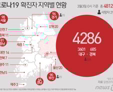 [사진] [그래픽] 코로나19 확진자 지역별 현황(3월3일 0시 기준 정례브리핑)
