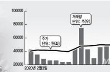 '한진칼' 피 말리는 분쟁, 씨 마르는 지분, 폭등하는 주가