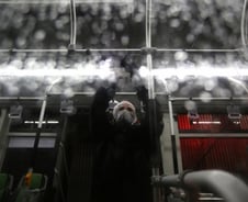 마스크·손세정제 쓸어 담으면 '사형' 하는 나라는?