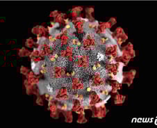 “사스·메르스에서 코로나 19 무력화할 항체 찾았다”