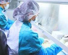 코로나로 재조명된 씨젠, 창사 20년만에 첫 배당까지…