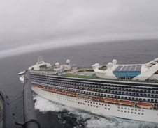 美도 '프린세스' 크루즈 공포… 수십명 의심증상