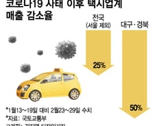[단독]'코로나'로 택시 매출 50% 급감, 국토부 지원 나서