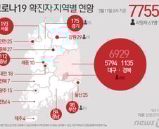 [사진] [그래픽] 코로나19  확진자 지역별 현황 (11일 0시 기준)