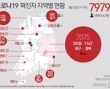 [사진] [그래픽] 코로나19 확진자 지역별 현황(13일 0시 기준)