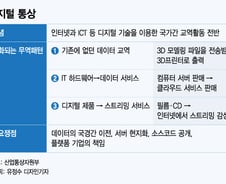 [단독]정부 '디지털통상' 대응 속도…DEPA 참여 검토