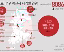 [사진] [그래픽] 코로나19 확진자 지역별 현황(14일 0시 기준)