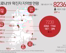 [사진] [그래픽] 코로나19 확진자 지역별 현황(16일 0시 기준)