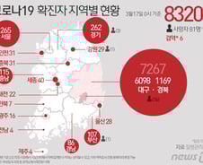 [사진] [그래픽] 코로나19 확진자 지역별 현황(17일 0시 기준)
