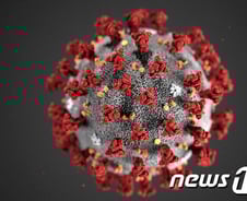 [팩트체크]코로나 따뜻해지면 사라진다?…확신 어려운 이유 '셋'